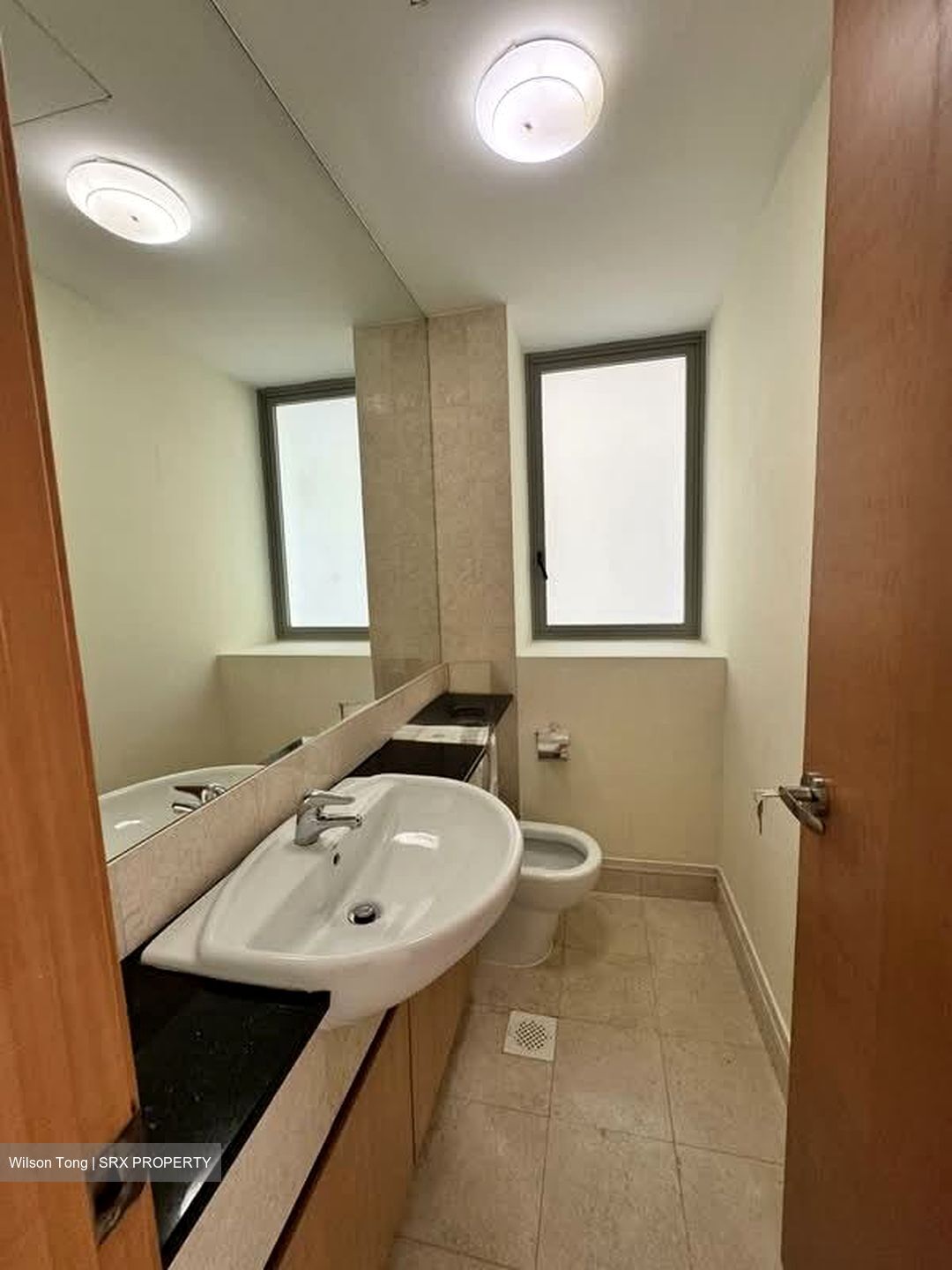 The Serenade @ Holland (D10), Condominium #565851971